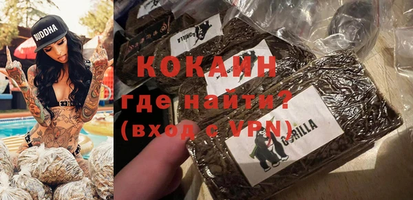 ALPHA PVP Покров