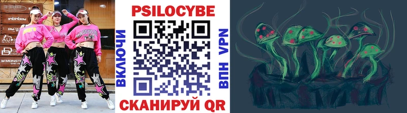 купить наркотик  Курск  Псилоцибиновые грибы прущие грибы 