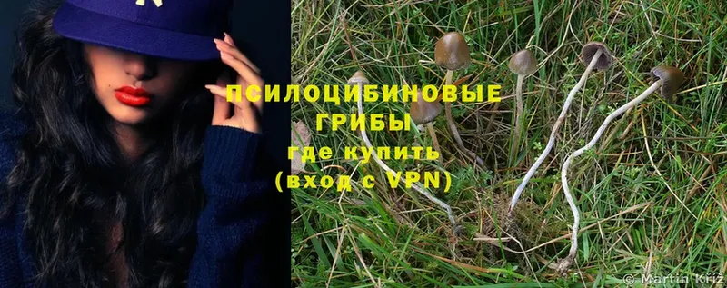 Псилоцибиновые грибы Magic Shrooms  Курск 