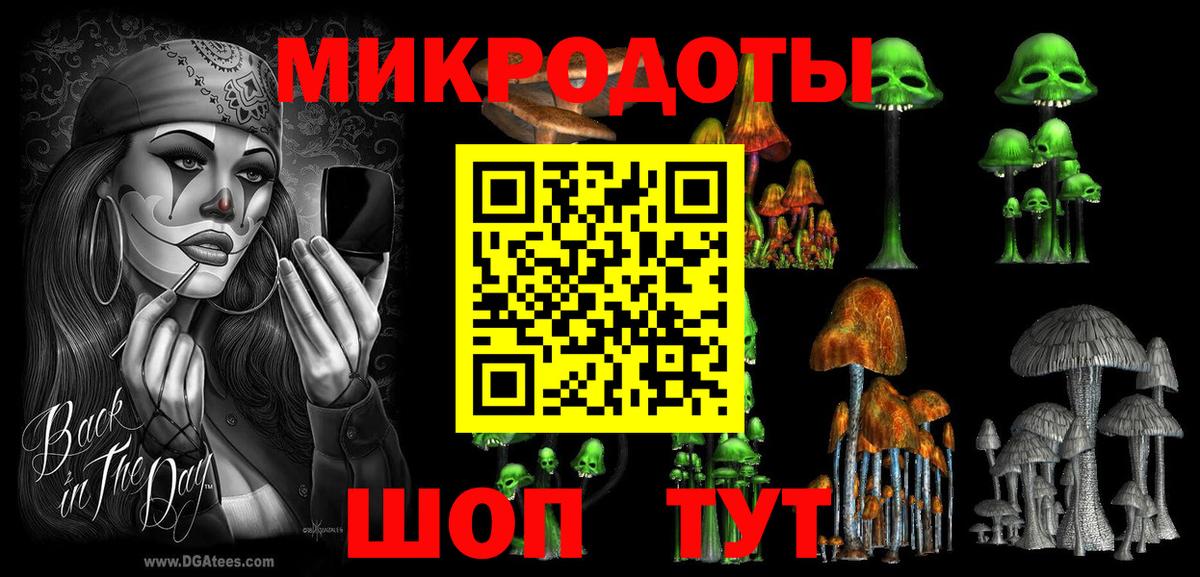 Псилоцибиновые грибы Psilocybe  Псилоцибиновые грибы Psilocybe  Курск 